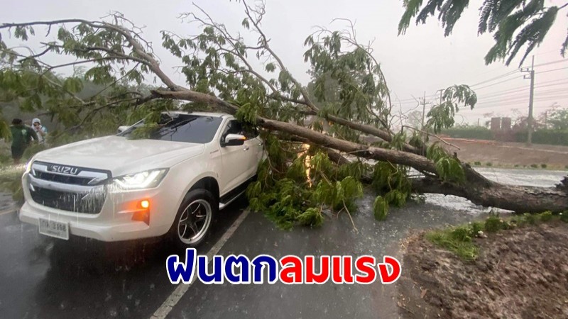 ฝนตกลมแรง! ต้นไม้ใหญ่ริมถนนหลายสายล้มทับรถยนต์พังเสียหาย