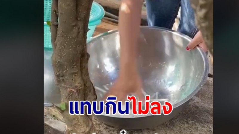แทบกินไม่ลง! สาวกินก๋วยเตี๋ยว หันไปเจอแม่ค้าล้างหลอด กลับมาใช้ใหม่