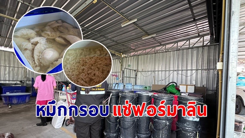 บุกจับโรงงานผลิต "หมึกกรอบ-สไบนาง-ไส้ตัน" พบแช่ฟอร์มาลิน  เตรียมส่งร้านหมูกระทะ !