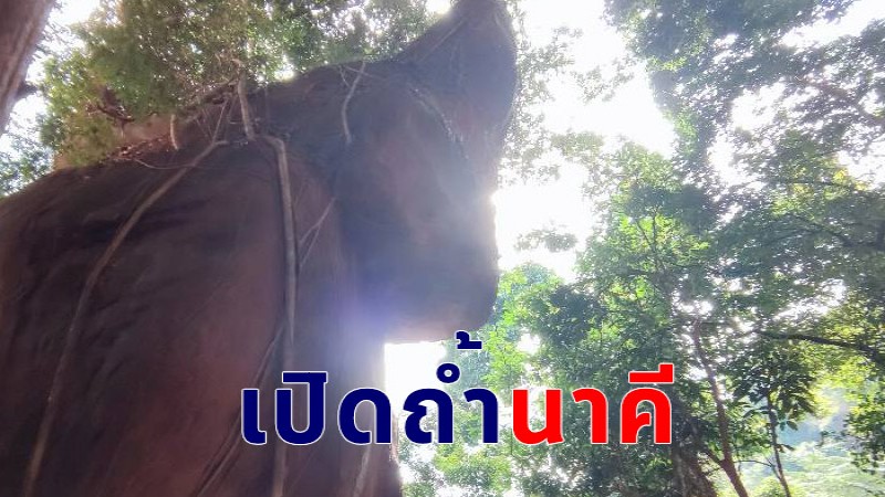 ถ้ำนาคี เปิดให้นักท่องเที่ยวเข้าชมแล้ว หลังปิดปรับปรุงฟื้นฟูธรรมชาติ จัดการภายในอุทยาน