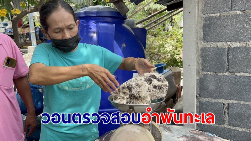 ชาวประมงพบอำพันทะเล ราคาหลักล้าน วอนผู้เชียวชาญยืนยัน หวังขายสร้างชีวิต ช่วงเศรษฐกิจตกต่ำ