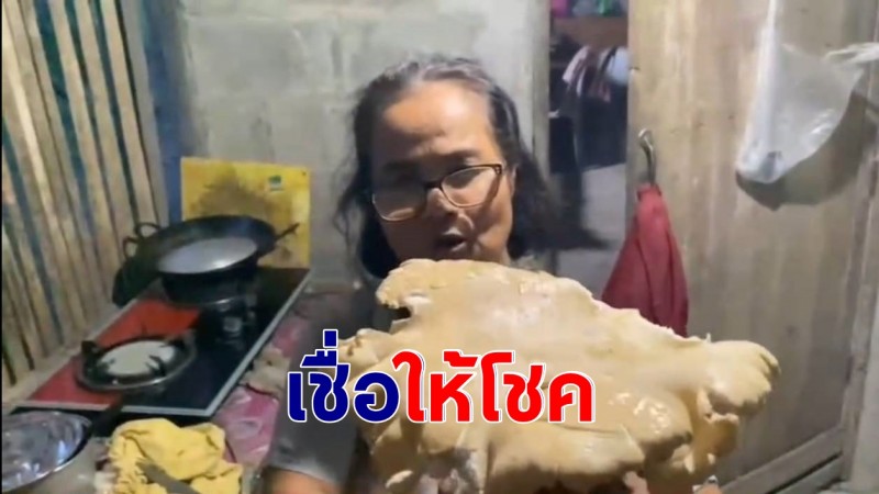ป้าเมืองคอน เจอเห็ดขี้ช้างยักษ์เท่าใบหน้า โผล่กอไผ่หลังบ้าน เชื่อให้โชค