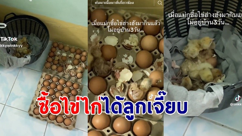 "สาวกุมขมับ" แม่ซื้อไข่ฮ้างฮังมากิน แต่ไม่อยู่บ้าน 3 วัน กลับมาไข่ฟักเป็นตัว !