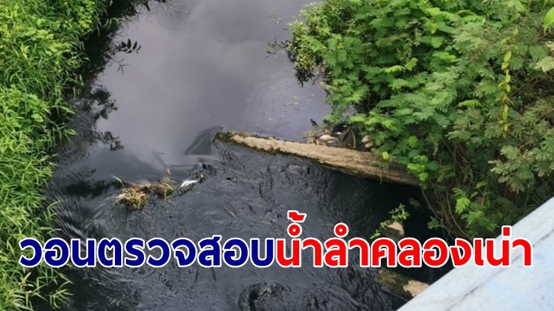 ชาวบ้านร้องน้ำในลำคลองเน่า-กลิ่นเหม็น ปลาตายเกลื่อน วอนหน่วยงานตรวจสอบ