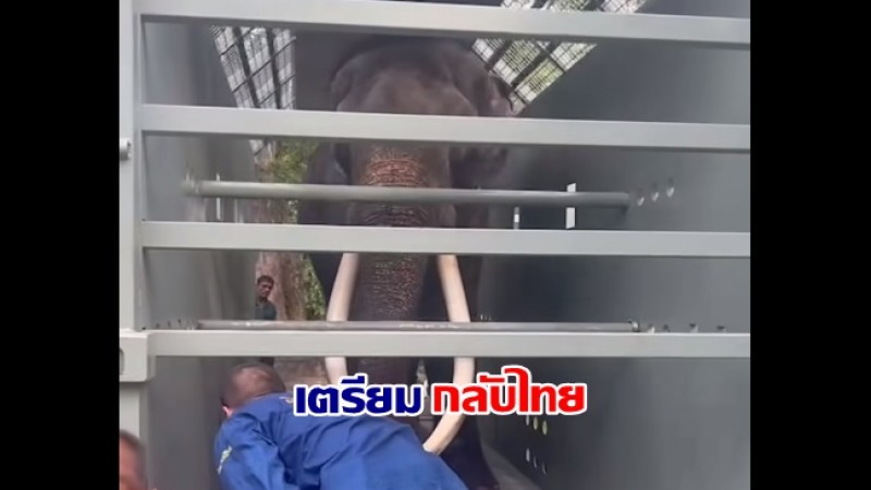 อดใจรอ พลายศักดิ์สุรินทร์ กลับบ้านเกิดประเทศไทย รออีกไม่นาน