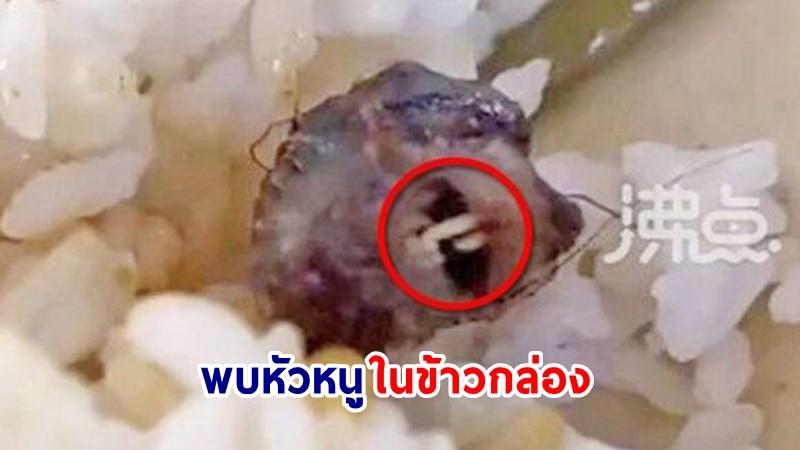 อ้วกแทบพุ่ง ! จีนพบ “หัวหนู” ในกล่องอาหารกลางวัน รพ.