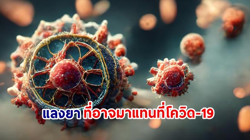 ทำความรู้จัก ! "แลงยา" หนึ่งในสมาชิกกลุ่มไวรัสใหม่ "เฮนิปา" ที่อาจมาแทนที่ไวรัสโควิด-19