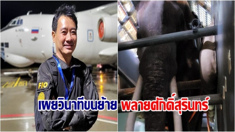 เผยวินาทีขนย้าย พลายศักดิ์สุรินทร์ จากศรีลังกาปลายทางประเทศไทย จากพี่หมอ 1 ใน 6 ท่าน ที่เดินทางมาพร้อมผู้โดยสารสำคัญ