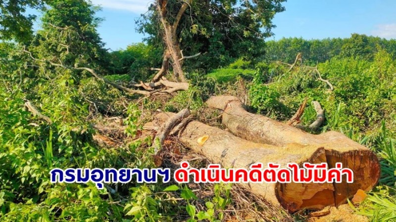 "กรมอุทยานฯ ดำเนินคดีตัดไม้มีค่าในที่รับรองสิทธิทำกินในเขตอุทยานฯ พร้อมเพิกถอนสิทธิ"