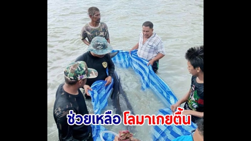 อุทยานแห่งชาติอ่าวพังงา ช่วยเหลือโลมาเกยตื้น บริเวณหาดแหลมไทร หมู่ 5 เกาะยาวน้อย