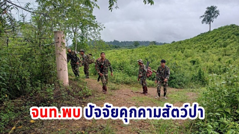 ภารกิจผู้พิทักษ์ เขตรักษาพันธุ์สัตว์ป่าเขาอ่างฤาไน ล่าสุดพบปัจจัยคุกคาม
