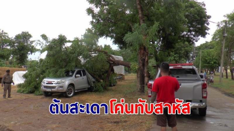 พายุฝนกระหน่ำ "ต้นสะเดา" หักโค่นทับกระบะ-คนเจ็บสาหัส  