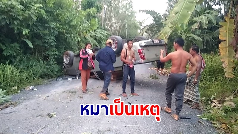 หมาเป็นเหตุ! วิ่งข้ามถนนตัดหน้ากระบะ หักหลบพลิกคว่ำอัดกอต้นกล้วย