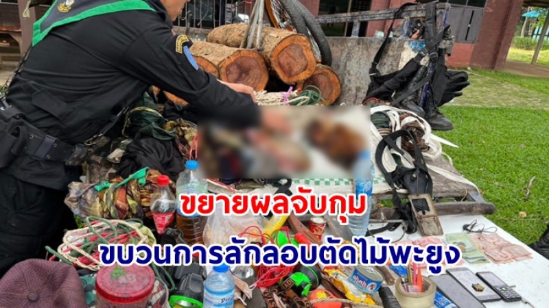 ขยายผลจับกุม ขบวนการลักลอบตัดไม้พะยูง จังหวัดสระแก้ว