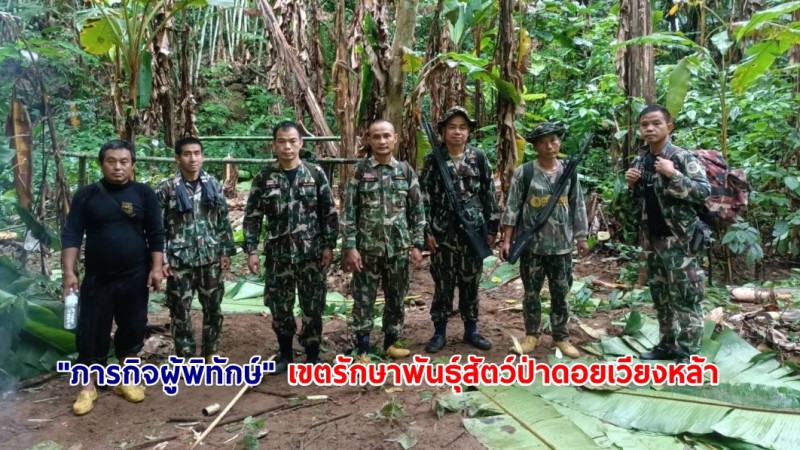 ชมภาพ "ภารกิจผู้พิทักษ์" เขตรักษาพันธุ์สัตว์ป่าดอยเวียงหล้า