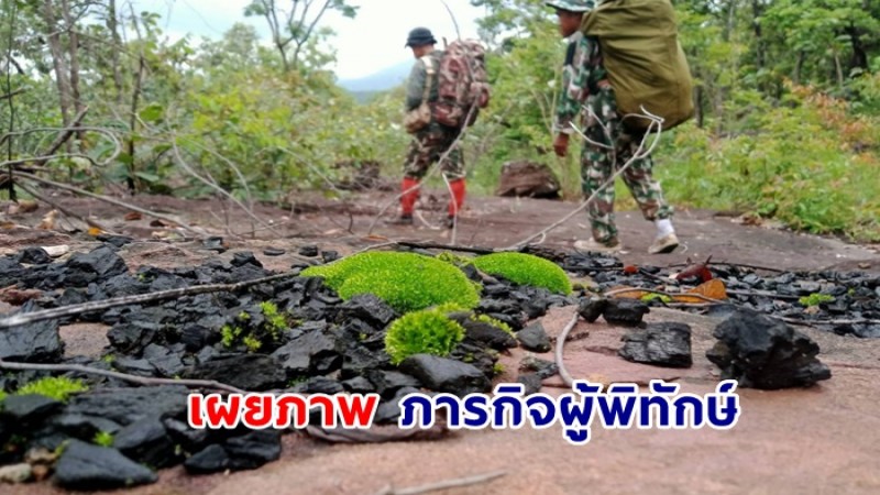 เผยภาพ ภารกิจผู้พิทักษ์  วัฏจักรธรรมชาติ-การปฏิบัติงานลาดตระเวนเชิ่งคุณภาพในเขตอุทยานแห่งชาตินายูง-น้ำโสม 