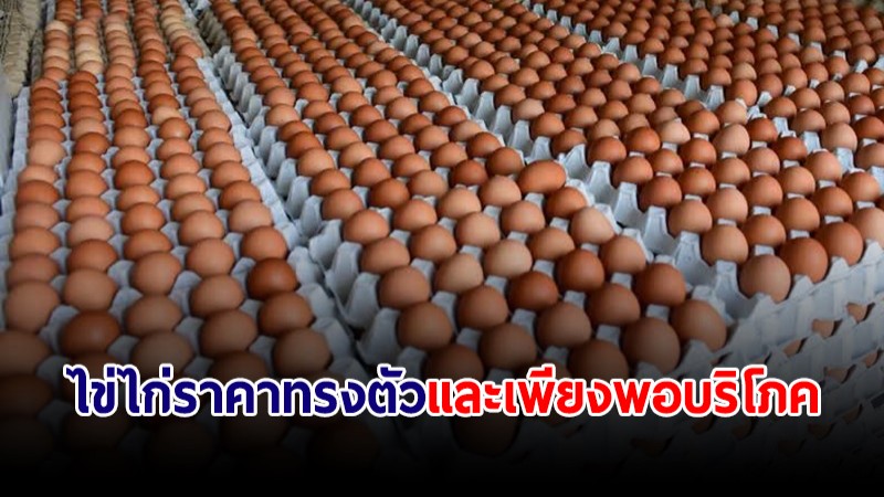 กรมการค้าภายใน แจงราคาไข่ไก่ทรงตัว ยันไม่ขาดแคลนมีเพียงพอบริโภค