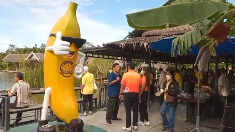 นักท่องเที่ยวสายเกษตรดูงานสวนกล้วยการปลูกผลิตภัณฑ์แปรรูปชมกล้วยแปลก