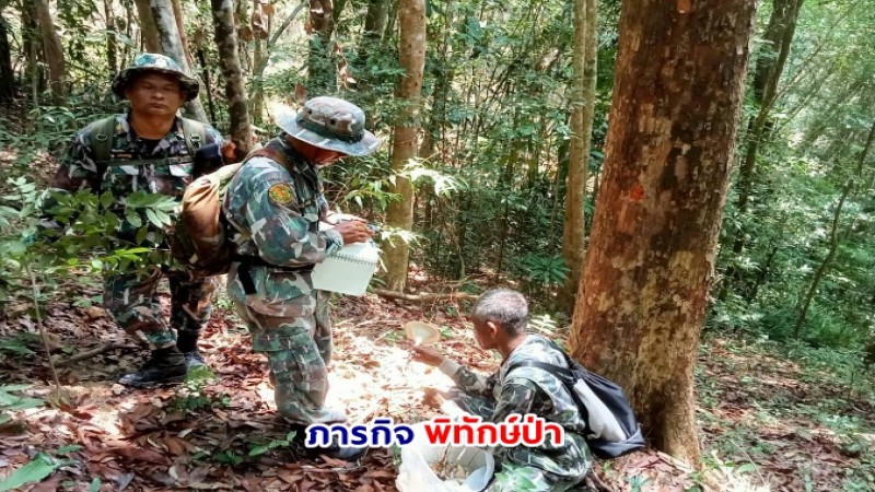 ภารกิจผู้พิทักษ์ เขตห้ามล่าสัตว์ป่าเขาปะช้าง-แหลมขาม จ.สงขลา