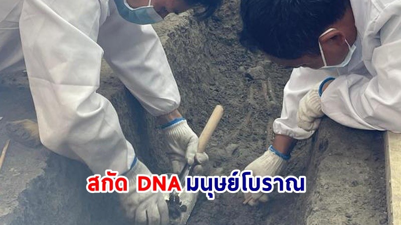 จีนสกัด DNA มนุษย์โบราณ เก่าแก่ 6,000 ปี