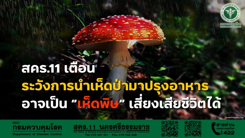 “สคร.11 เตือนระวังการนำเห็ดป่ามาปรุงอาหาร อาจเป็น “เห็ดพิษ” เสี่ยงเสียชีวิตได้”