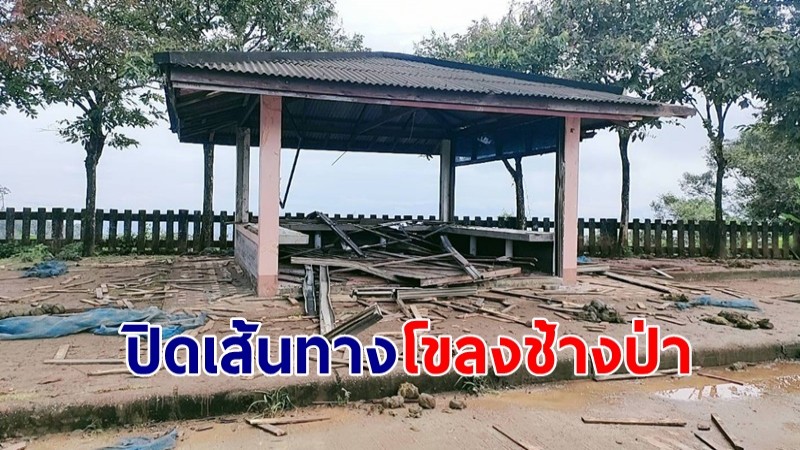 อุทยานแห่งชาติทองผาภูมิ ขอความร่วมมือ นทท.-หมู่บ้านอีต่อง หลีกเลี่ยงการเดินทางในช่วงเวลากลางคืน หวั่นเจอช้างป่า