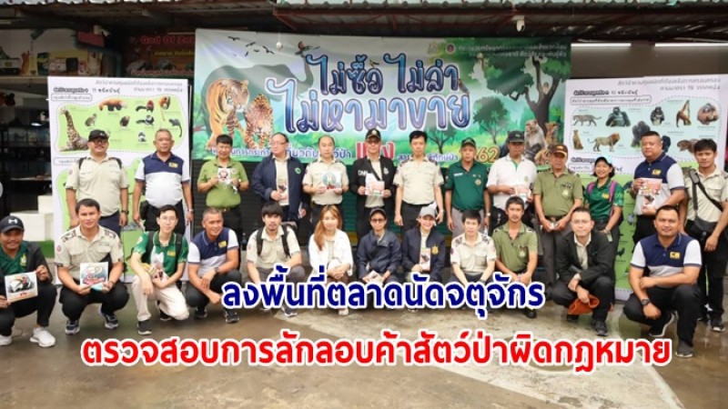 กรมอุทยานฯ ลงพื้นที่ตลาดนัดจตุจักร ตรวจสอบการลักลอบค้าสัตว์ป่าผิดกฎหมาย ยังไม่พบการกระทำผิด