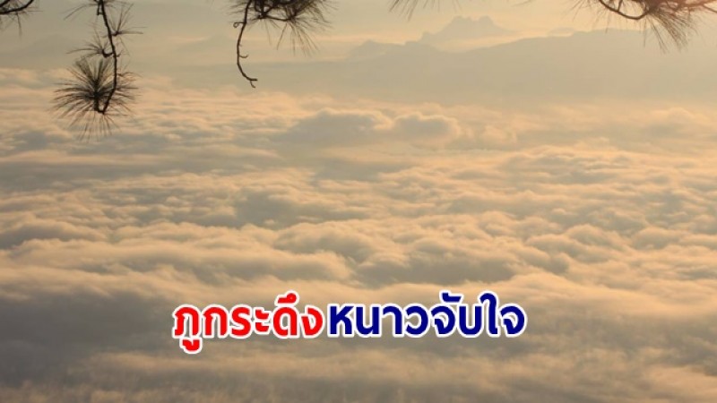 ฟินจับใจ อุทยานแห่งชาติภูกระดึง วันนี้ (23 ต.ค.66) อุณหภูมิอยู่ที่ 15 องศา 