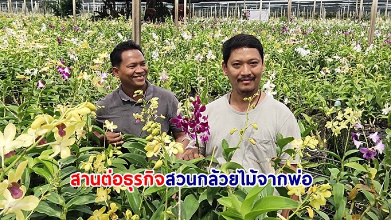 สองพี่น้องสานต่อธุรกิจสวนกล้วยไม้จากพ่อ ขยายครบวงจรสร้างรายได้เดือนละ 1,000,000 บาท