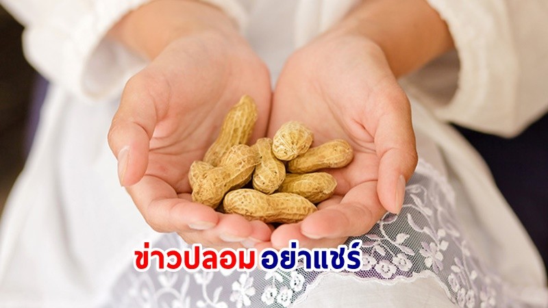 ข่าวปลอมอย่าแชร์ ! "กินถั่วลิสง" วันละ 1 กำมือ ช่วยรักษาอาการวัยทอง-อารมณ์แปรปรวน