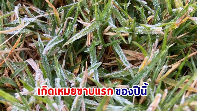 "ดอยอินทนนท์-กิ่วแม่ปาน" อุณหภูมิลดฮวบ 6 องศา เกิดเหมยขาบแรกของปีนี้