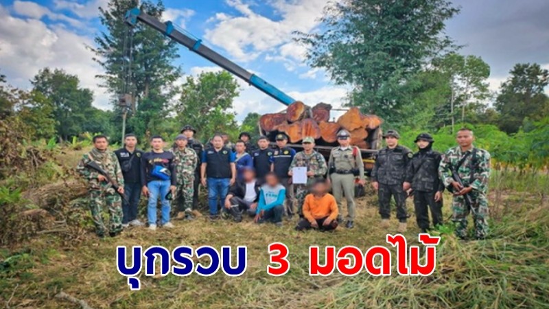 ทหารกองกำลังสุรนารีบุกรวบ 3 มอดไม้ลักลอบตัดไม้ประดู่ พร้อมของกลาง