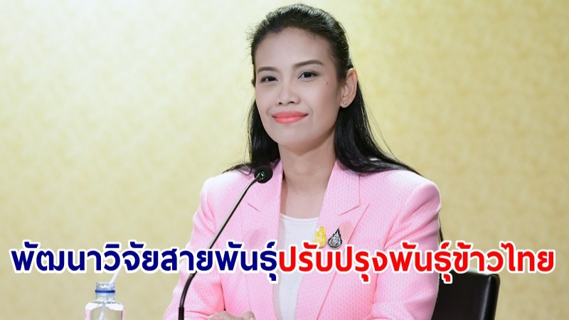 รองโฆษกฯ รัดเกล้าฯ เผยกระทรวงเกษตรฯ ผนึกกำลังภาคเอกชน พัฒนาวิจัยสายพันธุ์-ปรับปรุงพันธุ์ข้าวไทย สู่การแข่งขันของข้าวในตลาดโลก