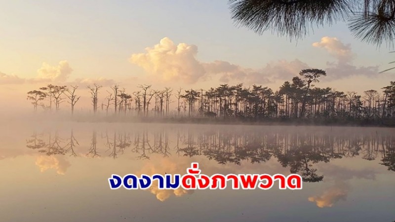 ดั่งภาพวาด "อ่างเก็บน้ำไพรัตน์ ธารไชย" อุทยานแห่งชาติภูกระดึง จ.เลย