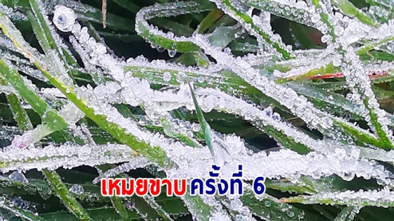 หนาวฟิน อช.ดอยอินทนนท์ เกิดเหมยขาบครั้งที่ 6 แล้ว 