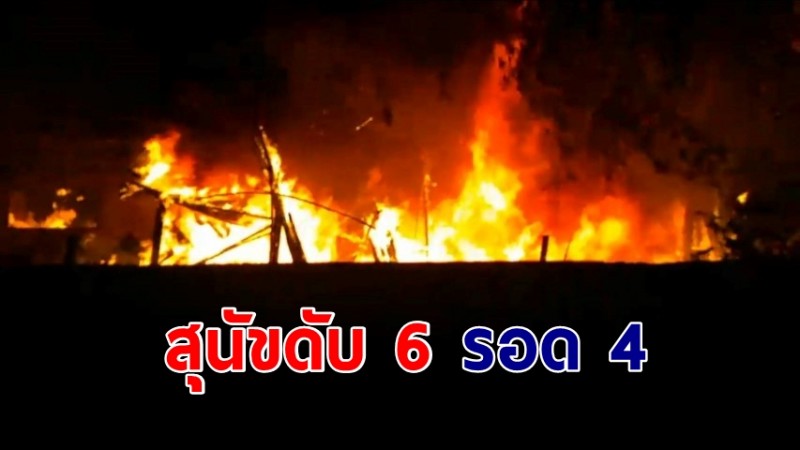 ไฟไหม้บ้านวอดทั้งหลัง ดับเพลิงเร่งเข้าช่วยลูกสุนัขพันธุ์ไทยดับ 6 รอด 4 