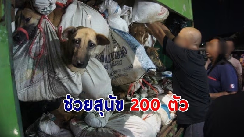 สลด ! "ตำรวจอินโดฯ" สกัดจับรถบรรทุก ช่วยสุนัข 200 ตัว ที่กำลังมุ่งหน้าไปโรงฆ่าสัตว์ !