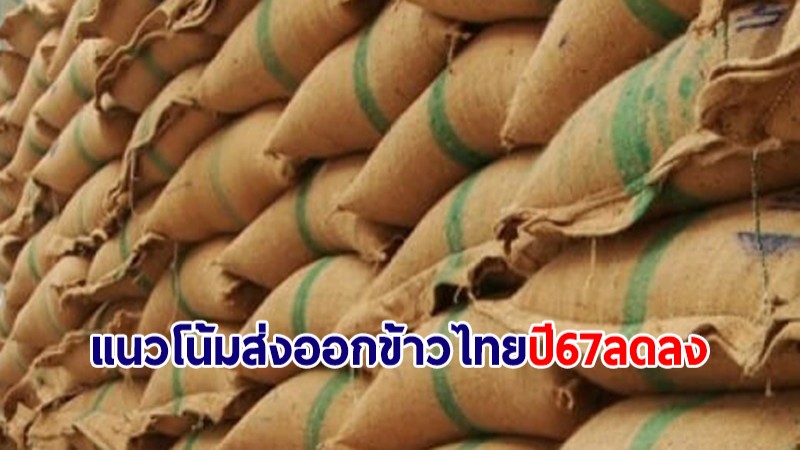 เอกชนคาดแนวโน้มส่งออกข้าวไทยปี 67 ลดลงอยู่ที่ 7.5 ล้านตัน