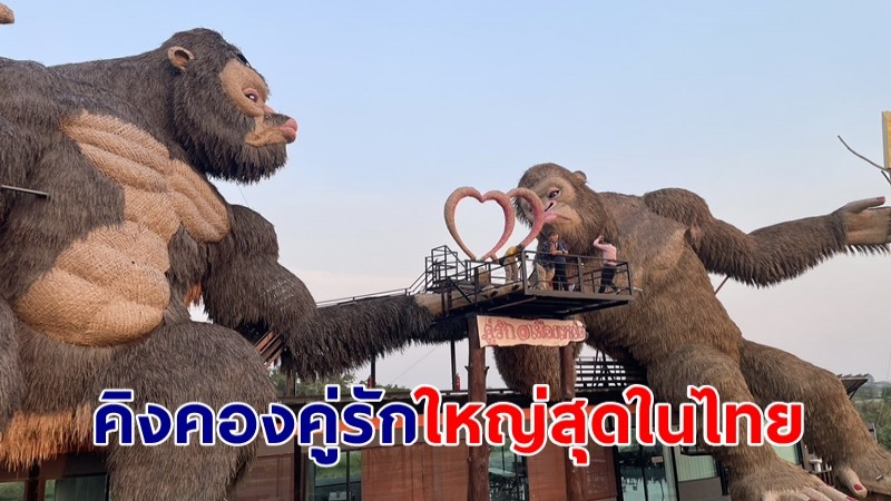 คู่รักชวนกันบอกรักที่คิงคองยักษ์คู่รัก เมืองเหน่อใหญ่ที่สุดในไทย ในวันวาเลนไทน์ 