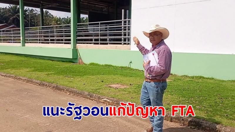 ตัวแทนเกษตรกรผู้เลี้ยงวัว แนะรัฐวอนแก้ปัญหา FTA ทำราคาในประเทศตกต่ำ