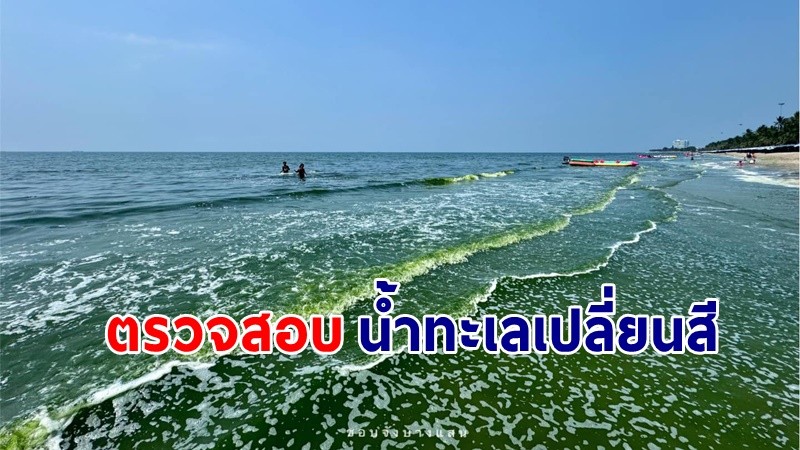 "กรม ทช." ตรวจสอบการเกิดปรากฏการณ์น้ำทะเลเปลี่ยนสี บริเวณนอกชายฝั่งทะเลศรีราชา จ.ชลบุรี
