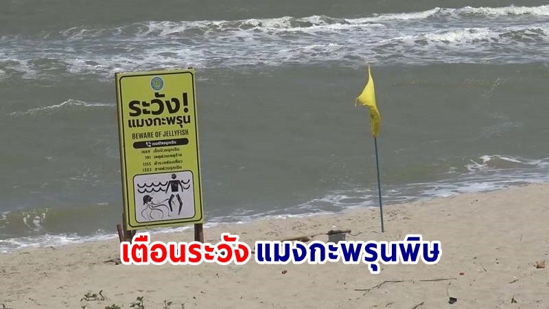 เตือนระวัง ! "แมงกะพรุนพิษ" บริเวณชายหาดชลาทัศน์-แหลมสมิหลาสงขลา