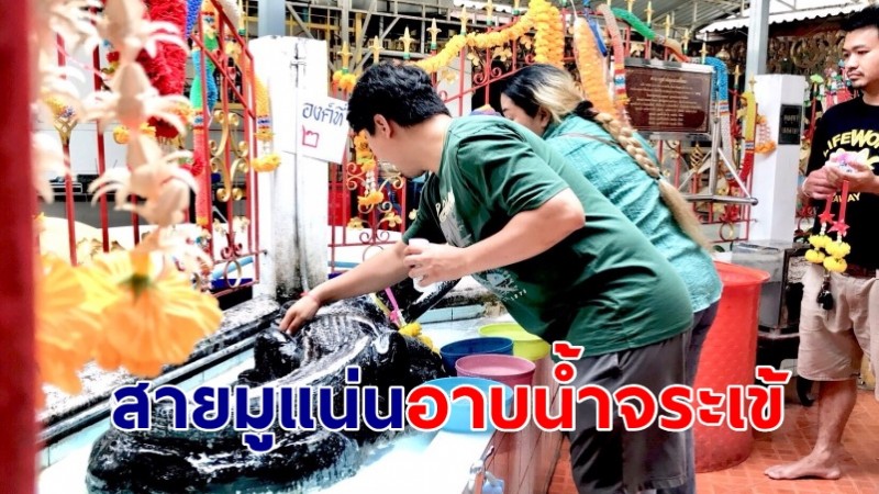 สายมูแน่น!  “อาบน้ำจระเข้” พร้อมส่องเลขธูป เสี่ยงโชค