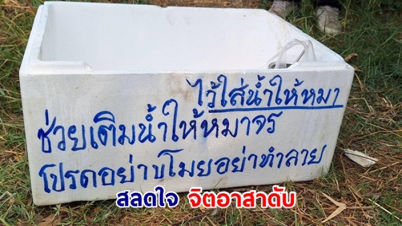 จิตอาสาตักน้ำให้สุนัขจรจัดกินช่วงหน้าร้อน พลาดตกน้ำเสียชีวิต