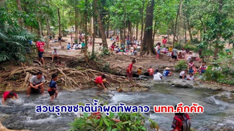 นทท.คึกคัก เช็คอิน สวนรุกขชาติน้ำผุดทัพลาว จังหวัดชัยภูมิ