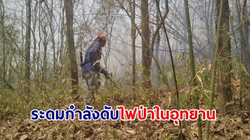 เจ้าหน้าที่ไฟป่าถ้ำผาไท ระดมกำลังดับไฟป่าในอุทยานได้สำเร็จ พบพื้นที่เสียหาย 65 ไร่