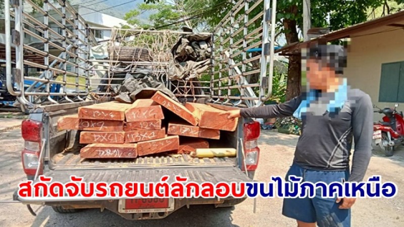 สกัดจับรถยนต์ลักลอบขนไม้ภาคเหนือ ส่งประเทศเพื่อนบ้าน เร่งขยายผลหาเครือข่ายค้าไม้ข้ามชาติ