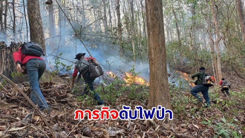 ภารกิจดับไฟป่า จนท.ดับไฟป่าในพื้นที่ห้วยฮ่องไคร้-ขุนแม่กวง พื้นที่เสียหาย 30 ไร่