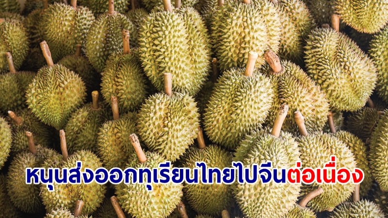 รัฐบาล หนุนส่งออกทุเรียนไทยไปจีนต่อเนื่อง หลังราคาพุ่ง 160 บาท/กก.