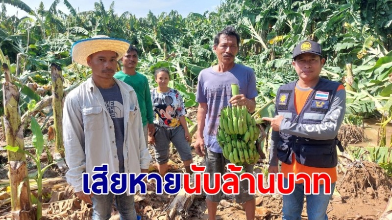 พายุฤดูร้อนถล่มไร่กล้วยหอมทอง เสียหายมูลค่านับล้านบาท